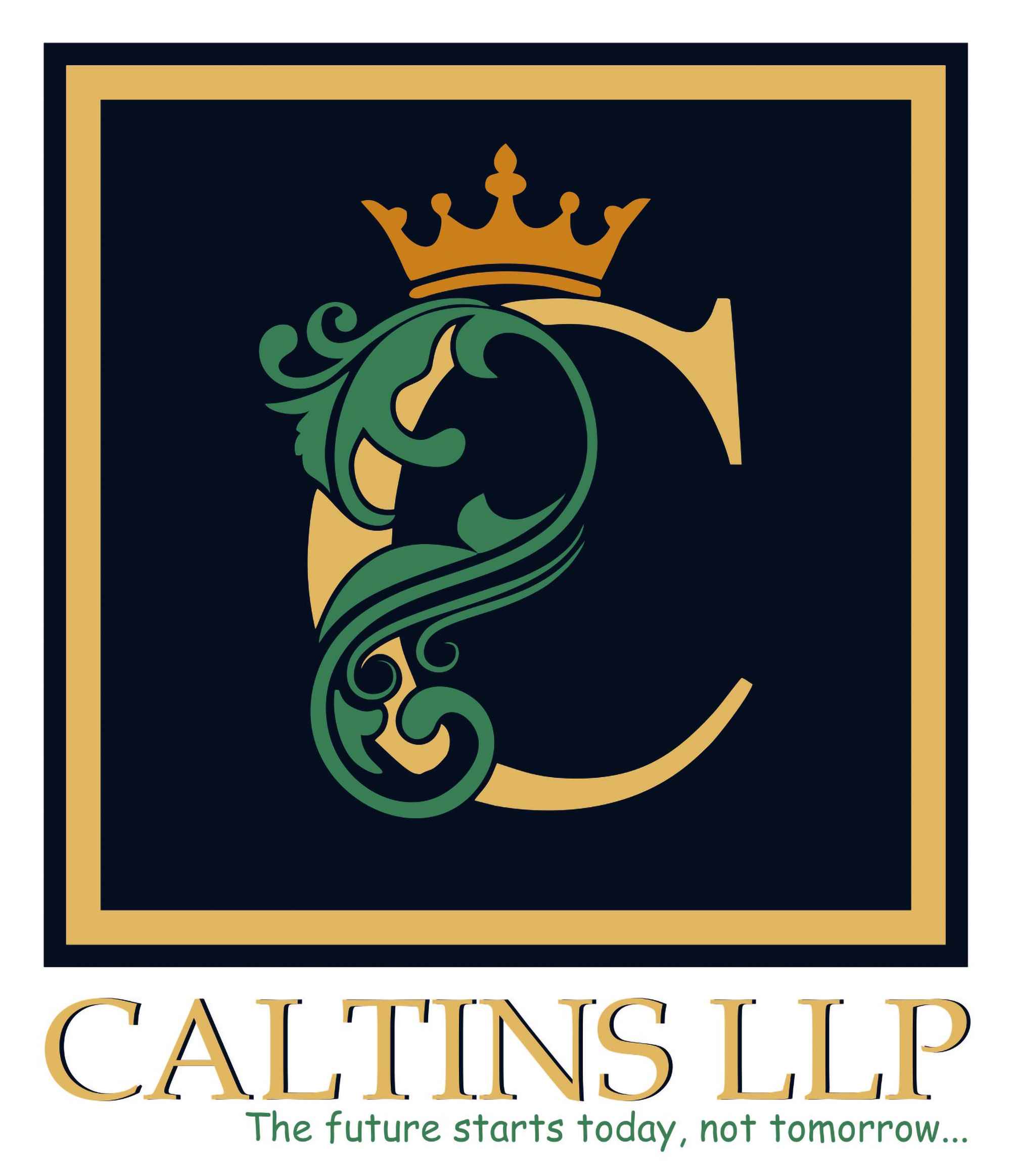 Caltins Logo